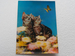 3d 3 D Lenticular Stereo Postcard Kittens    A 214 - Stereoskopie