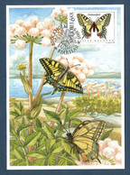 Schweden / Sverige 1993  Mi.Nr. 1774 , Schmetterlinge "Papilio Machaon" - Maximum Card - 21.5.1993 - Cartes-maximum (CM)