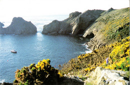 SARK , Coastal Scenery -Petit Champ Hotel - Sark