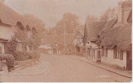 ANGLETERRE(ILE DE WIGHT) SHANKLIN - Andere & Zonder Classificatie