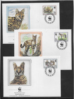 Thème Félins - Burundi - WWF - Enveloppes - Big Cats (cats Of Prey)