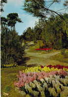 85 - La Tranche Sur Mer - Les Floralies - Une Allée Fleurie Dans Le Parc - La Tranche Sur Mer