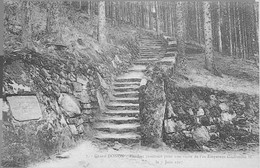 Grand DONON -- Escalier Construit Pour Une Visite De L'Ex-Empereur Guillaume II En 1917 - Andere Gemeenten