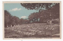 29 - TRÉBOUL -  COLONIE DE VACANCES DE LA VILLE DU MANS (72) - LES COLONS PENDANT LA CURE DE SOLEIL... - Tréboul