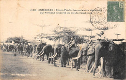 Cambodge     Phnom-Penh   Les Soixante éléphants Qui Forment L'escorte Du Roi Du Cambodge   (voir Scan) - Kambodscha
