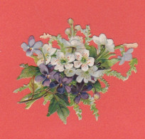 CHROMO DE FLEURS - 6 X 6,5 CM NON COLLE - Flores