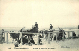 Malo Les Bains * La Plage Et Le Parc à Baudets * ânes - Malo Les Bains