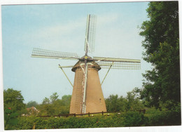 Schoorl - Molen - (Nederland / Noord-Holland) - Nr. SCO 2 - Schoorl