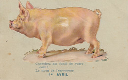 PIG - COCHON -1er AVRIL -  DEUX SCANS - Cochons