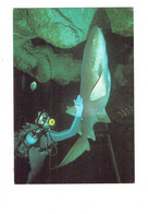 Lot 2 Cpm - REQUIN NOURRICE Avec PLONGEUR - AQUARIUM LA ROCHELLE - Poisson - High Diving