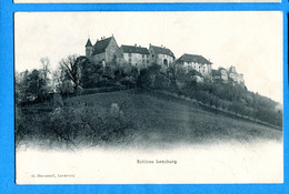 N14-303, Lenzburg, Schloss, Chateau, Circulée 1910 - Lenzburg