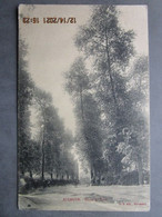 CPA 59 Nord AULNOYE - Route De LEVAL écrite Et Timbrée 1913 - Aulnoye
