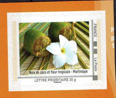 France Noix De Coco Et Fleur Tropicale - Martinique Fruit Fleur Collector Départements D’Outre-Mer Comme J’aime De 2012 - Fruit