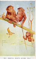 SAY SWEETIE WHATS GOING ON OLD COLOUR POSTCARD VALENTINE LAWSON WOOD ARTIST SIGNED  NO 1359 MONKEYS - Wood, Lawson