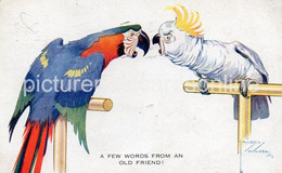 A FEW WORDS FROM AN OLD FRIEND OLD COLOUR POSTCARD VALENTINE LAWSON WOOD ARTIST SIGNED  NO 1678 PARROTS - Wood, Lawson