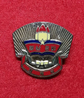 North Korea Badge Pin From The DPRK #2 - Altri & Non Classificati