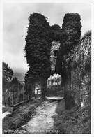 Castellamonte I Ruderi Del Castello (10 X 15 Cm) - Andere Monumenten & Gebouwen