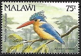 Malawi - MNH ** 1992 :    Malachite Kingfisher  -  Corythornis Cristatus - Other