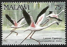 Malawi - MNH ** 1992 :    Lesser Flamingo  -  Phoeniconaias Minor - Fenicotteri