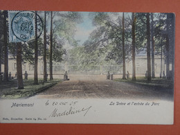 Mariemont La Drève Et L'entrée Du Parc (colorisée) - Morlanwelz