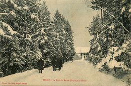 Tence * Le Bois Du Besset * Paysage D'hiver * Attelage - Andere & Zonder Classificatie