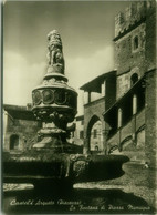 CASTELL'ARQUATO ( PIACENZA ) LA FONTANA DI PIAZZA MUNICIPIO - EDIZ. L.F.P. 1950s  (8813) - Piacenza