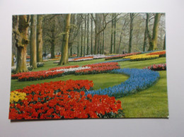 LISSE "Keukenhof " - Lisse