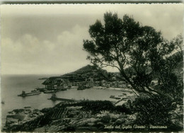 ISOLA DEL GIGLIO ( GROSSETO ) PORTO - PANORAMA  - EDIZIONE BALLINI - SPEDITA 1957 (8819) - Grosseto