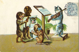 Chorale De Chats Et De Chiens - Katten