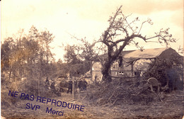 Carte Photo:  Groupe De 10 Ouvriers Réparant Une Maison Détruite Après Tempête (bâches Sur Le Toit, Branches à Terre ... - Photos