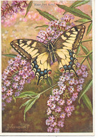 Butterfly And Lilacs, Papillon Et Lilas, Schmetterling Und Flieder, Farfalla E Lillà - By J. Voerman / Modern Sized - Papillons