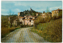 SEMPRONIANO - GROSSETO - SCORCIO PANORAMICO DI ROCCHETTE DI FAZIO - 1990 - Grosseto