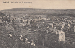 (209)  CPA  Diekirch  Vue Prise Du Schutzenberg - Diekirch