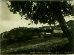 CASTELL'AZZARA ( GROSSETO ) PANORAMA -SPEDITA 1953 (8840) - Grosseto