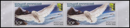 RUSSIA 2018 Stamp MNH ** VF Mi 2538 POLAR OWL Snow Arctic PRESERVE CHOUETTE EULE BIRD VOGEL OISEAU Bubo Scandiacus 2320 - Ongebruikt