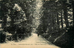 Labastide Rouairoux * Allée Des Sapinettes - Sonstige & Ohne Zuordnung