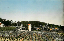 La Londe Les Maures * L'école Des Radios LES BORMETTES - La Londe Les Maures