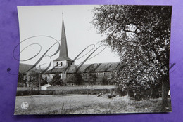 Aldeneik  Maaseik Romaanse Kerk - Maaseik