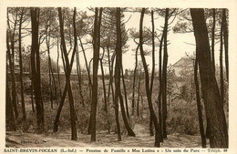 St Brévin L'océan * La Pension De Famille MES LUTINS * Un Coin Du Parc * Villa - Saint-Brevin-l'Océan