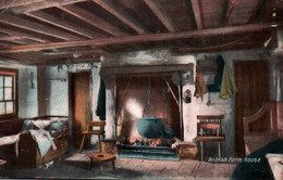 AN IRISH FARM HOUSE / 1906 - Autres & Non Classés