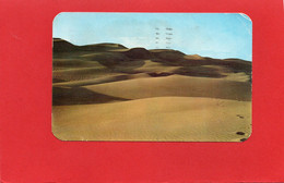 ETATS-UNIS----COLORADO---sand Dunes San Luis---voir 2 Scans - Parques Nacionales USA