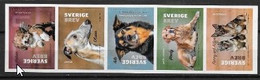 Suède 2020 Série Neuve Chiens - Unused Stamps