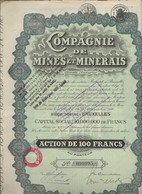 COMPAGNIE DE MINES ET MINERAIS -LOT DE 10 ACTIONS DE 100 FRANCS -ANNEE 1928 - Miniere