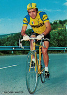 CARTE CYCLISME  - Riccomi Walter - G.S. Equipe Sammontana - Radsport