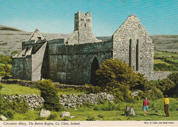 Corcomroe Abbey, The Burren Region, Clare - Clare