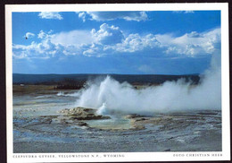 AK 019768 USA - Wyoming - Yellowstone N.P. - Clepsydra Geyser - Yellowstone