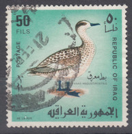 Iraq 1968 Birds Mi#526 Used - Iraq