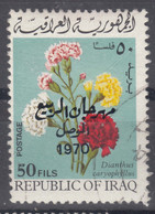 Iraq 1970 Flowers Mi#594 Used - Iraq