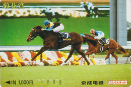 Carte JAPON - ANIMAL - CHEVAL - RACING HORSE JAPAN Prepaid Skyliner Transport Ticket Card / Turf - PFERD - 431 - Cavalli