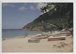 Archipel De La Guadeloupe : Saint Barth (barthelemy) Plage De Corossol - Saint Barthelemy